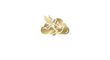 FROM THE HEAVENS - Home